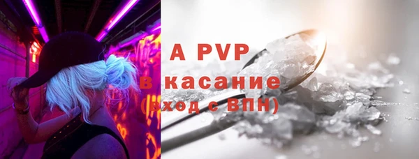 шишки Белоозёрский