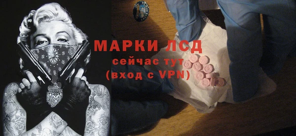 шишки Белоозёрский