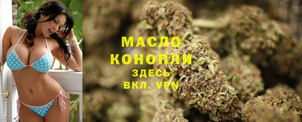 шишки Белоозёрский