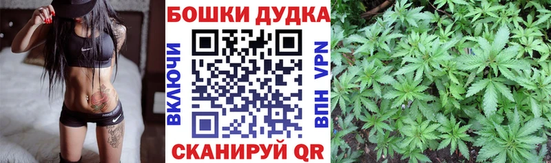 Каннабис сатива  Шадринск 